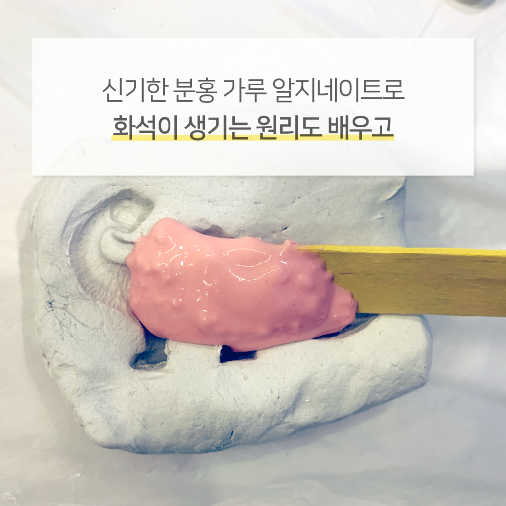 8e9007a0-5월_공룡-06